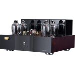 Ampli de puissance cayin soul 170p