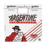 Argentine 1012 - corde de si au dtail a boucle guitare manouche - tirant 14