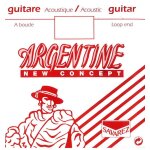 Argentine 1016 - corde de mi grave au dtail a boucle guitare manouche - tirant 45