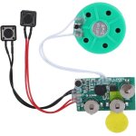 Asfasfq - carte de v?ux vocale, module de puce sonore renregistrable, puce de carte de v?ux  faire ...