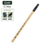 Authentique sifflet irlandais avec cl c / d, 18 penny, 6 trous, parfait, musique traditionnelle irlandaise, ...
