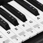 Autocollants de touches de piano pour 37 / 49 / 54 / 61 / 88 touches, autocollants de clavier de piano ... Autocollants de touches de piano pour 37 / 49 / 54 / 61 / 88 touches, autocollants de clavier de piano ...