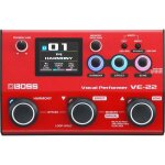 Boss - ve 22 - vocal performer