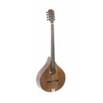 Bouzouki irlandais pro arte antique antique