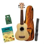 Bumblebee bus50 soprano ukulele pack nl pack débutants ukulélé soprano avec méthode en néerlandais Bumblebee bus50 soprano ukulele pack nl pack débutants ukulélé soprano avec méthode en néerlandais