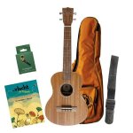 Bumblebee but30 tenor ukulele pack nl pack débutants ukulélé ténor avec méthode en néerlandais Bumblebee but30 tenor ukulele pack nl pack débutants ukulélé ténor avec méthode en néerlandais