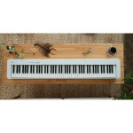 Casio cdp - s110 piano numrique blanc