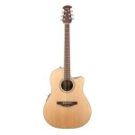 Celebrity tradition cs244g standard natural