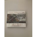 Champions of ireland accordion ceili bands tin whistle