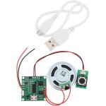 Checarzhn - - no1 - lecteur de musique mp3 wav avec haut - parleur pour boîte a musique diy carte de ... Checarzhn - - no1 - lecteur de musique mp3 wav avec haut - parleur pour boîte a musique diy carte de ...