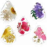 Chenquansarl - lot de 5 médiators en forme de fleur séchée en pet pour guitares acoustiques, ukulélé, ... Chenquansarl - lot de 5 médiators en forme de fleur séchée en pet pour guitares acoustiques, ukulélé, ...