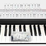 Chenquansarl - guide de notes de clavier de piano en silicone rutilisable avec bote pour 88 touches ...