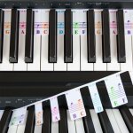 Chenquansarl - notes de clavier de piano colorées pour débutants, etiquettes de notes amovibles pour ... Chenquansarl - notes de clavier de piano colorées pour débutants, etiquettes de notes amovibles pour ...