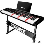 Chenquansarl - piano numerique 61 touches semi - lestes avec stands lumineuses batterie intgr de 1800mah ...