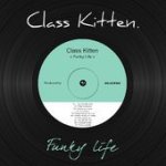 Class kitten  funky life