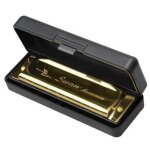 Cygne harmonica 10 trous cl de do dor avec etui blues harpe mtal acier neuf
