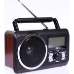 Datel radijas frisky rd - 20 (fm), radio, marron
