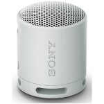 Enceinte portable sony srs - xb100 gris perle