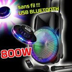 Enceinte sono dj party karaoke 800w portable batterie 2 micros disco mobile 12  led rgb usb / micro sd ...