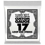 Ernie ball 1317 - corde folk a boucle au détail stainless steel - tirant 017 Ernie ball 1317 - corde folk a boucle au détail stainless steel - tirant 017