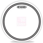 Evans tt12ec2s peau transparente 12 pouces
