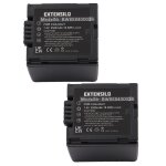 Extensilo 2x batteries compatible avec panasonic pv - gs50, pv - gs50s, pv - gs120, pv - gs200 appareil ...
