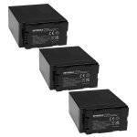 Extensilo 3x batteries compatible avec panasonic nv - ds38, nv - ds55, nv - ds60, nv - ds65, nv - ds77, ...
