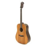 Fazley delora guitare folk avec housse