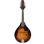 Fazley fma621sb sunburst mandoline electro - acoustique style a