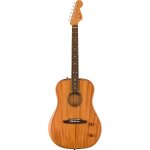 Fender highway series dreadnought rw all - mahogany guitare ?lectro - acoustique folk avec housse deluxe ...