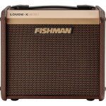 Fishman - pro lbt 400 - amplificateur guitare acoustique micro 40w Fishman - pro lbt 400 - amplificateur guitare acoustique micro 40w