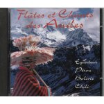Flutes et chants des andes / equateur / perou / bolivie / chili