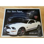Ford shelby - pick your poison