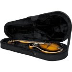 Gator - gl - mandolin - etui pour mandoline
