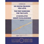 Giuseppe gariboldi : die ersten Übungen für flöte the first exercises for flute - recueil flûte traversière ... Giuseppe gariboldi : die ersten Übungen für flöte the first exercises for flute - recueil flûte traversière ...
