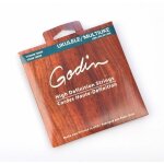 Godin - cordes pour multiuke (029, 041)