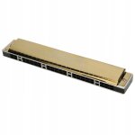 Harmonica diatonique professionnel pour orgue a bouche