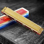 Harmonica tremolo a 24 trous, avec etui, instrument de musique, synthtiseur professionnel - type or