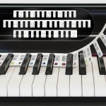 Homegadget aide piano [idal pour les dbutants] - 88 touches en silicone - etiquettes de note pour apprendre ...
