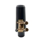 Housse de protection pour saxophone alto en mi plat, fixation de ligature, accessoire pour anche et bec ... Housse de protection pour saxophone alto en mi plat, fixation de ligature, accessoire pour anche et bec ...