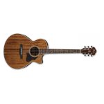 Ibanez ae245 - nt naturelle - guitare electro acoustique Ibanez ae245 - nt naturelle - guitare electro acoustique