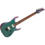 Ibanez rgd3121 prestige polar lights flat guitare electrique avec etui Ibanez rgd3121 prestige polar lights flat guitare electrique avec etui