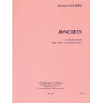 Bernard andr�s : jonchets 12 etudes breves - recueil harp or harp celtique 9790230796170 alha009617