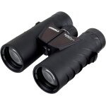Jumelles safari ultrasharp 10x42 - optique de qualit allemande, lumineuse, a contraste elev, robuste, ...