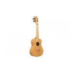 Kala ka - bmbs - c - bamboo - ukul�l� concert