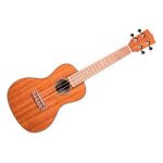 Kala ka - cg acajou - ukulele concert - finition brillante
