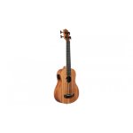 Kala u - bass nomad - ukulele basse ( + housse)
