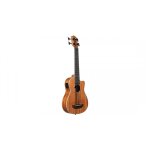 Kala u - bass scout - ukulele basse ( + housse) Kala u - bass scout - ukulele basse ( + housse)