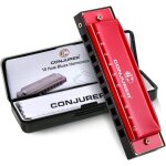 Kalanka - blues harmonica pour enfants dultes d�butants, 10 trous harmonica diatonique cl� de c, brasse ...