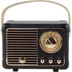 Kalanka - enceinte bluetooth portable sans fil - lecteur de disque vinyle analogique rotatif - mini haut ...